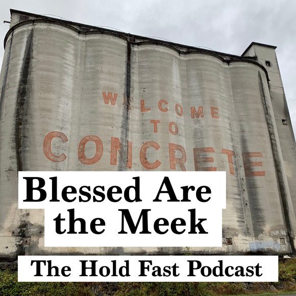 17) Blessed Are the Meek